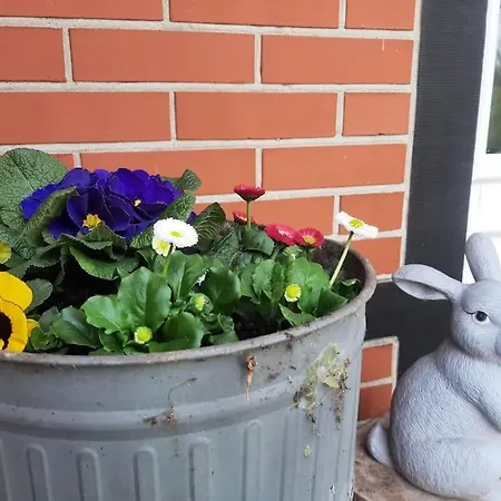 Auf Dem Land Apartment *