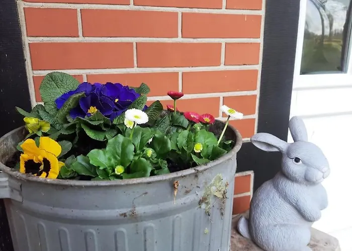 Auf Dem Land Apartamento *