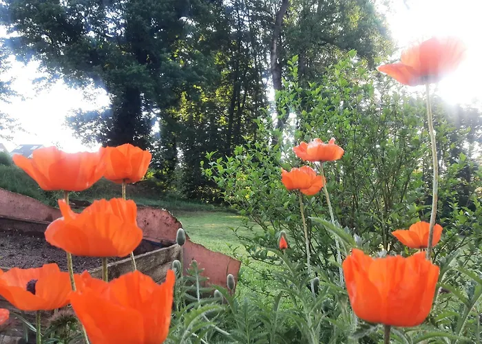 Auf Dem Land Ladbergen